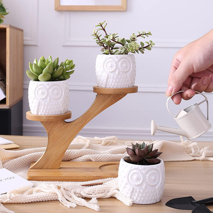 Lisslune | Decorative plant stand made of wood – plant pots in owl design for succulents and indoor plants