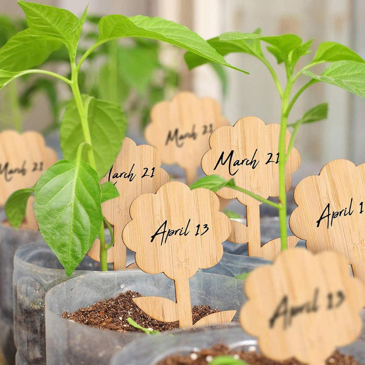 Lisslune | Plant labels made of wood for garden and balcony – Rewritable labels for herbs and plants