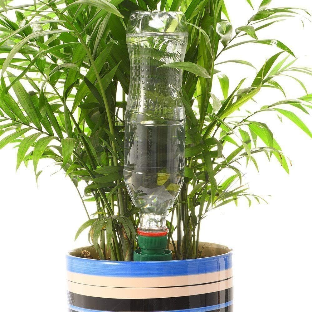 Lisslune | Self-watering spikes for plants – Automatic drip tips for bottles