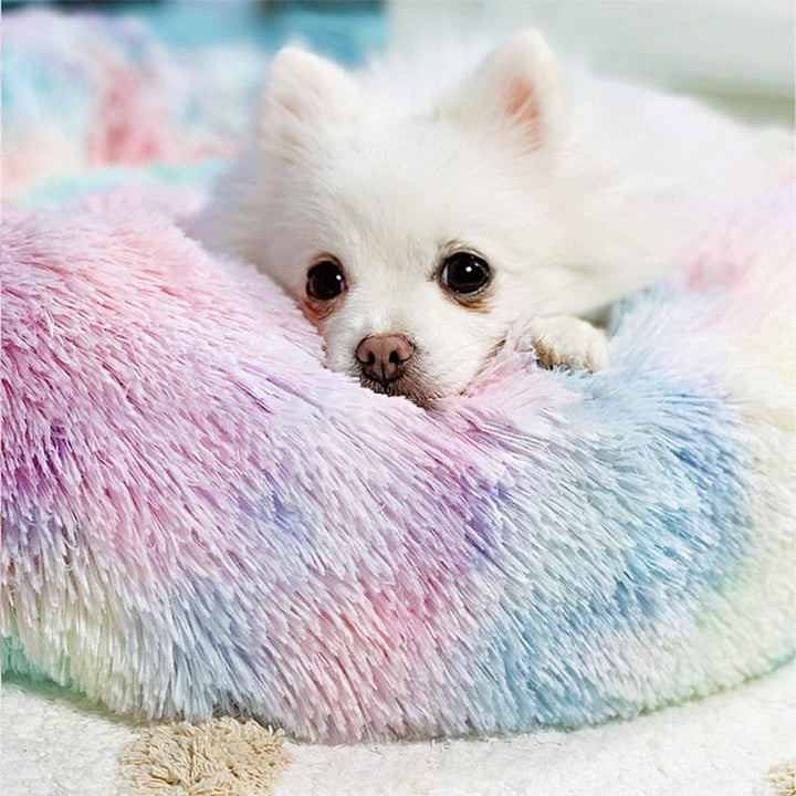 Lisslune | Beef Rainbow Extra Plush Calming Donut Dog Beds
