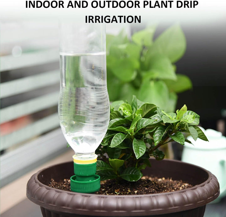 Lisslune | Self-watering spikes for plants – Automatic drip tips for bottles