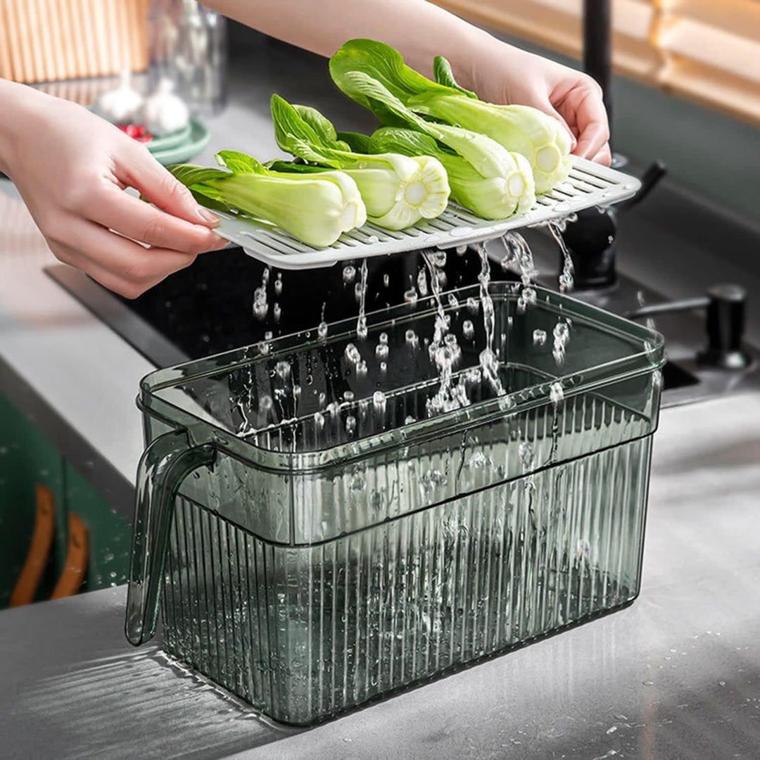 Lisslune | Practical Refrigerator Organization Box