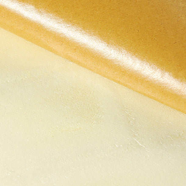 Lisslune | Wall paneling Vinyl Peel and Stick Smooth Waterproof Interior Wall Paneling