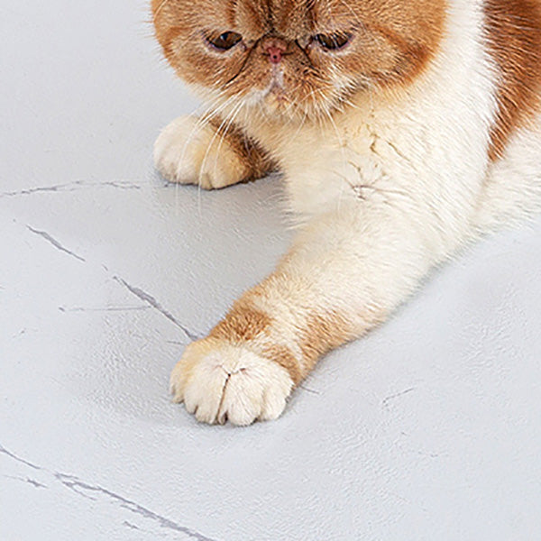 Lisslune | Modern Home Flooring Peel and Stick Marble Print Vinyl Floor