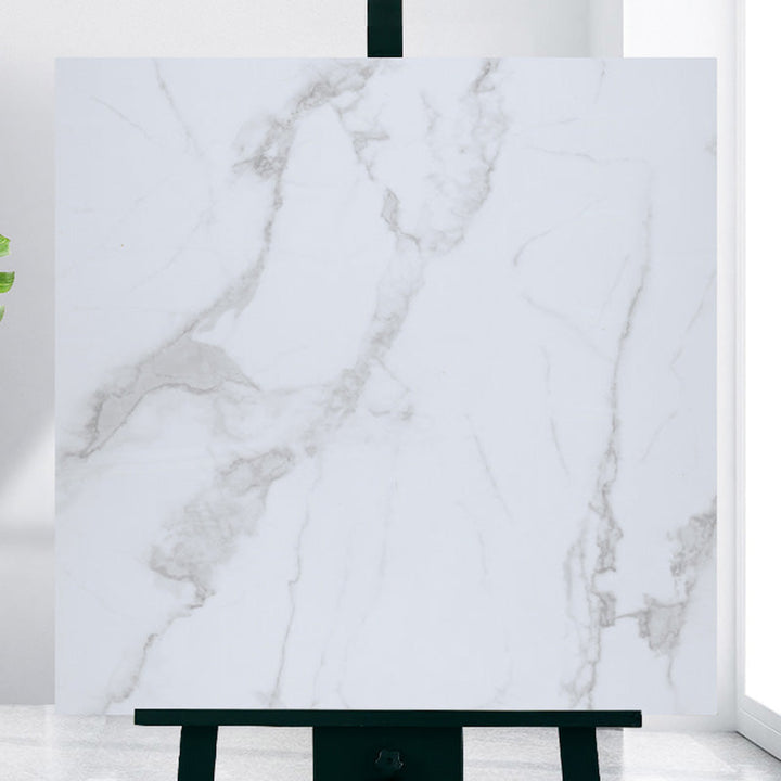 Lisslune | Modern Home Flooring Peel and Stick Marble Print Vinyl Floor