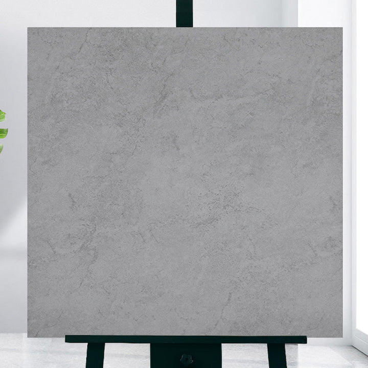Lisslune | Modern Home Flooring Peel and Stick Marble Print Vinyl Floor