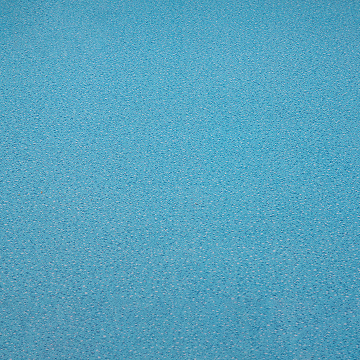Lisslune | Indoor Flooring Peel and Stick Coiled PVC 200cm Waterproof Vinyl Flooring