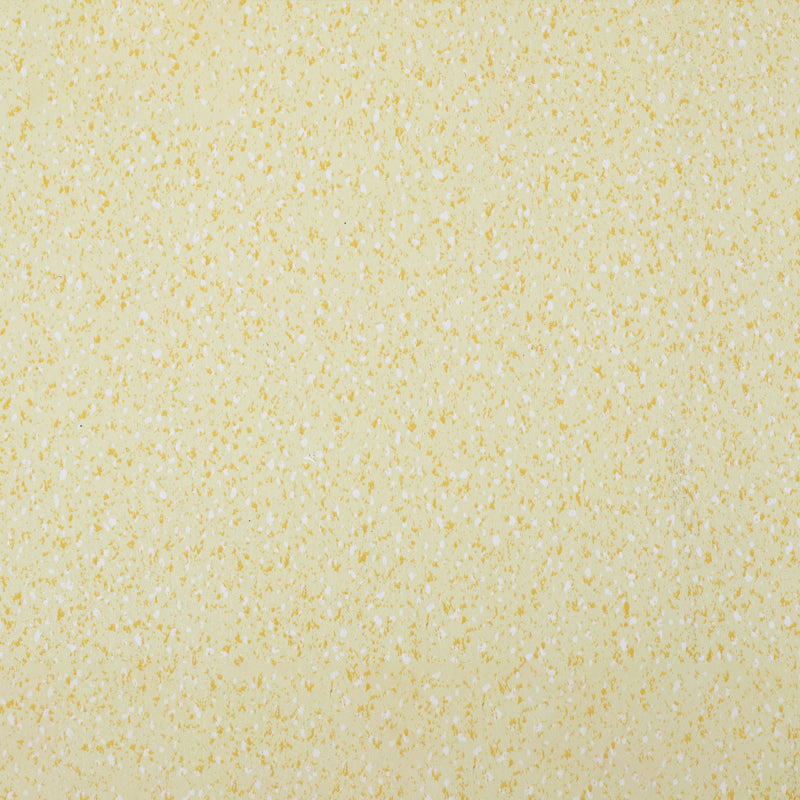 Lisslune | Indoor Flooring Peel and Stick Coiled PVC 200cm Waterproof Vinyl Flooring