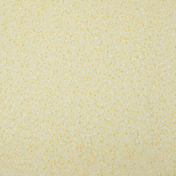 Lisslune | Indoor Flooring Peel and Stick Coiled PVC 200cm Waterproof Vinyl Flooring