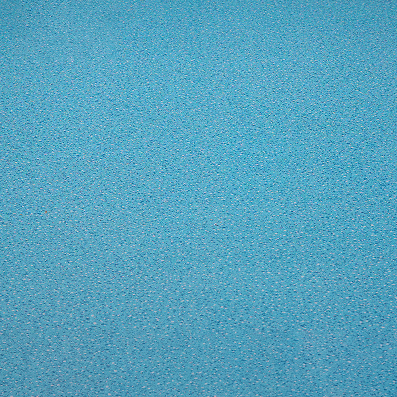 Lisslune | Indoor Flooring Peel and Stick Coiled PVC 200cm Waterproof Vinyl Flooring