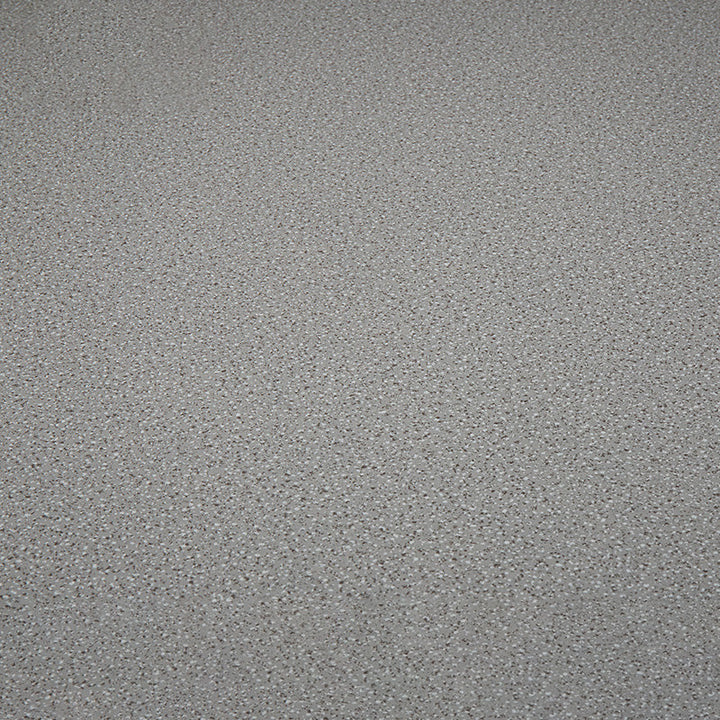 Lisslune | Indoor Flooring Peel and Stick Coiled PVC 200cm Waterproof Vinyl Flooring