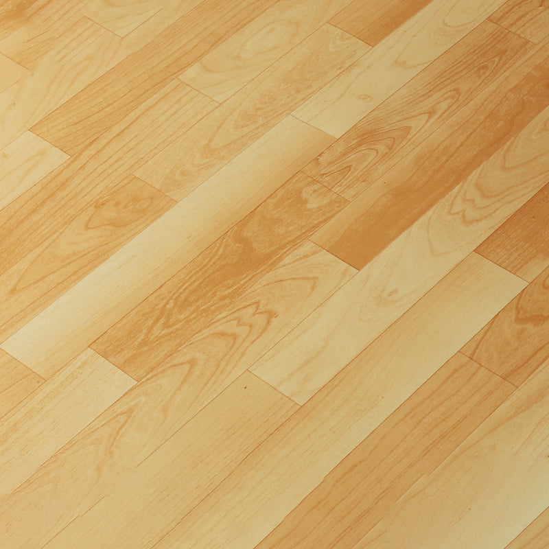 Lisslune | Indoor Flooring Peel and Stick Coiled PVC 200cm Waterproof Vinyl Flooring