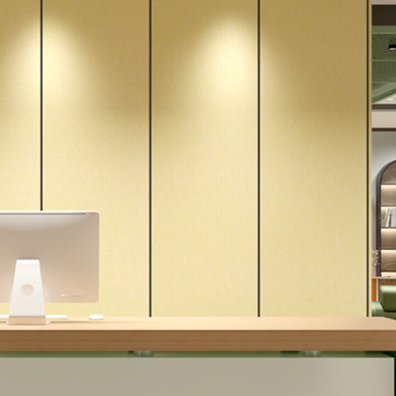 Lisslune | Modern Style Waterproof Wall Cladding Living Room PVC Wall Cladding
