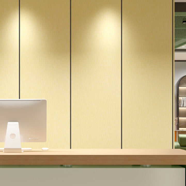Lisslune | Modern Style Waterproof Wall Cladding Living Room PVC Wall Cladding