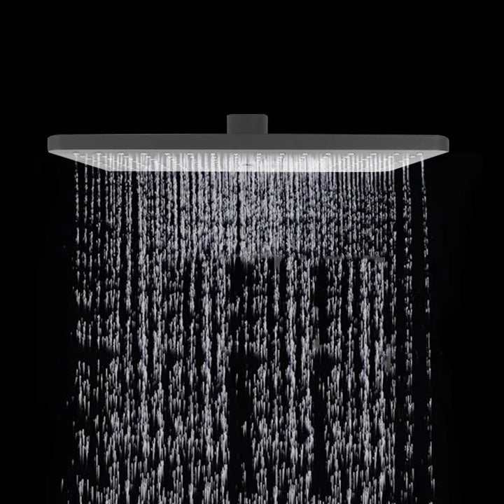 Lisslune | Rectangular Gray Showerhead Combo Standard Spray Pattern Showerhead