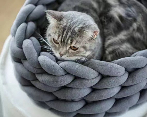 Lisslune | Soft pet bed