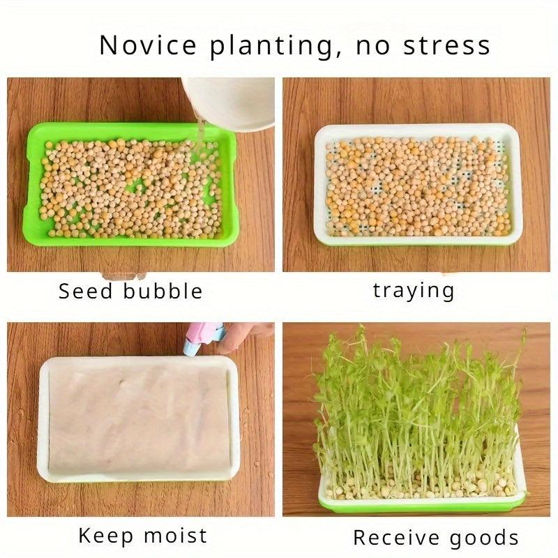Lisslune | Soil-free Hydroponic Seedling Germination Trays - 5-Pack for Indoor & Outdoor Cultivation