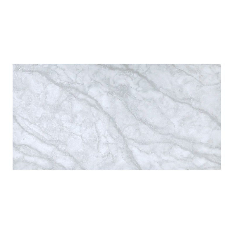 Lisslune | PVC Peel and Stick Wall Tile Rectangular Peel & Stick Field Tile