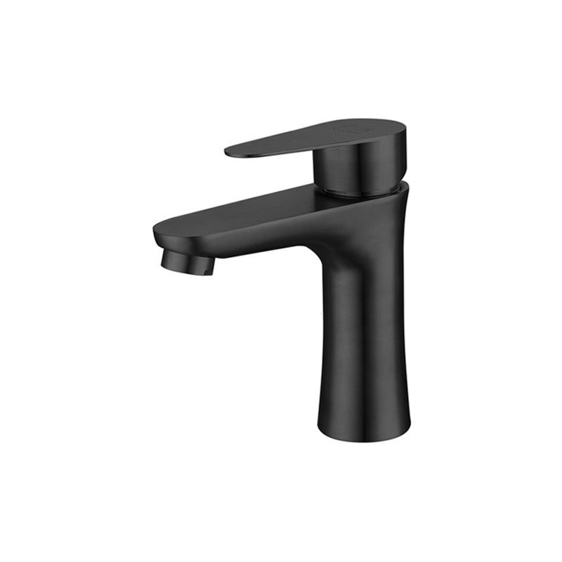 Lisslune | Round Vessel Faucet Lever Handle Stainless Steel Bathroom Faucet with Water Hose
