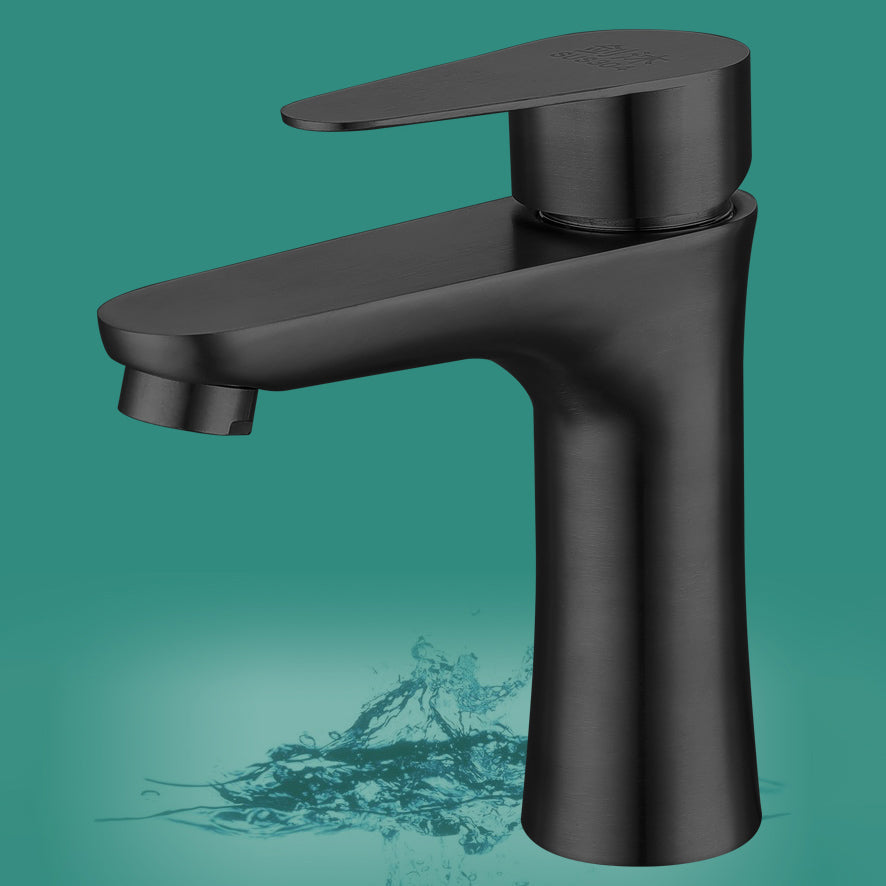 Lisslune | Round Vessel Faucet Lever Handle Stainless Steel Bathroom Faucet with Water Hose