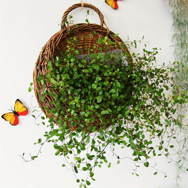 Lisslune | Rustic blue rattan flower wall basket for real or artificial flowers