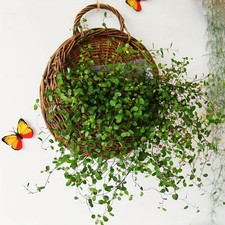 Lisslune | Rustic blue rattan flower wall basket for real or artificial flowers