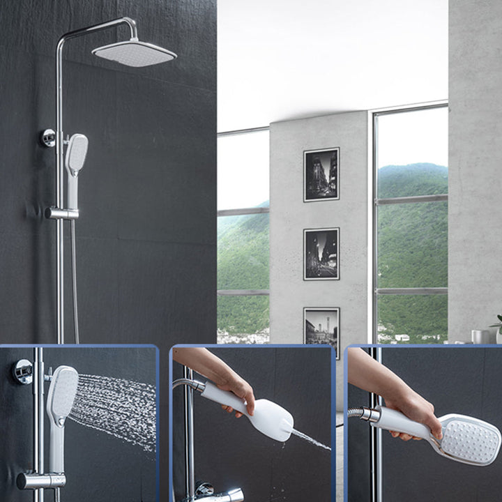Lisslune | Contemporary Showerhead Standard Spray Pattern Including Hose