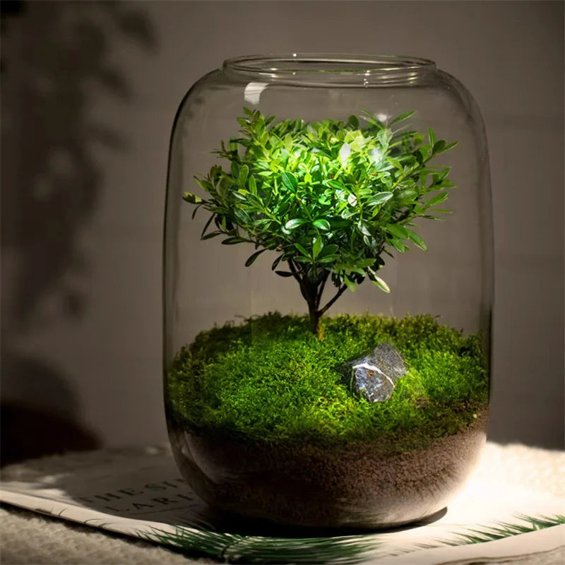 Lisslune | Micro Landscape Green Oasis Glass Vase