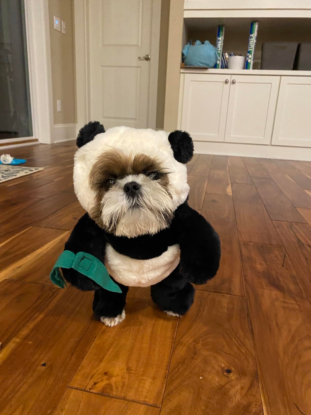 Lisslune | Pandaloon Dog and Pet Costume Set