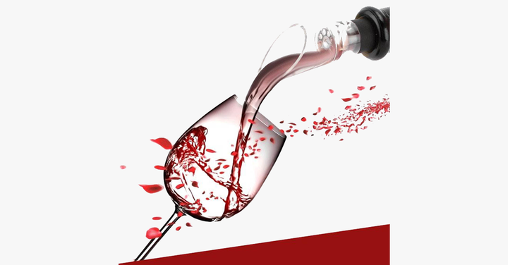 Lisslune | Wine Aerator Decanter Pourer – The perfect accessory for the home bar!