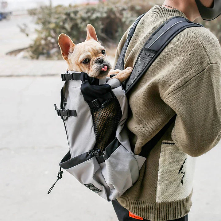 Lisslune | Dog Backpack – Comfortable Carrying Bag for Medium Dogs with Safety Strap and Storage Pockets