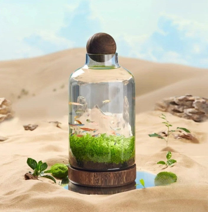 Lisslune | Micro Aquarium Compact Glass Ecological Fish Tank