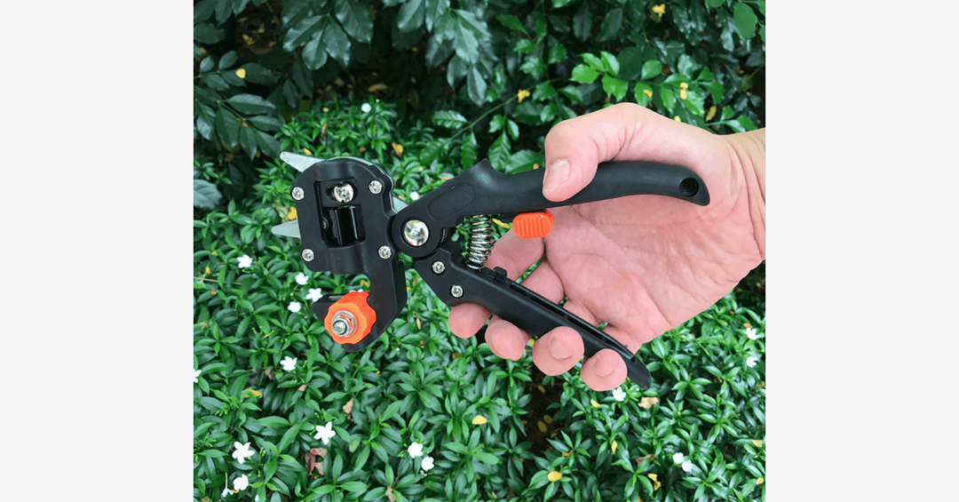 Lisslune | Nifty Gardener's Graft – Improve Your Gardening Skills!