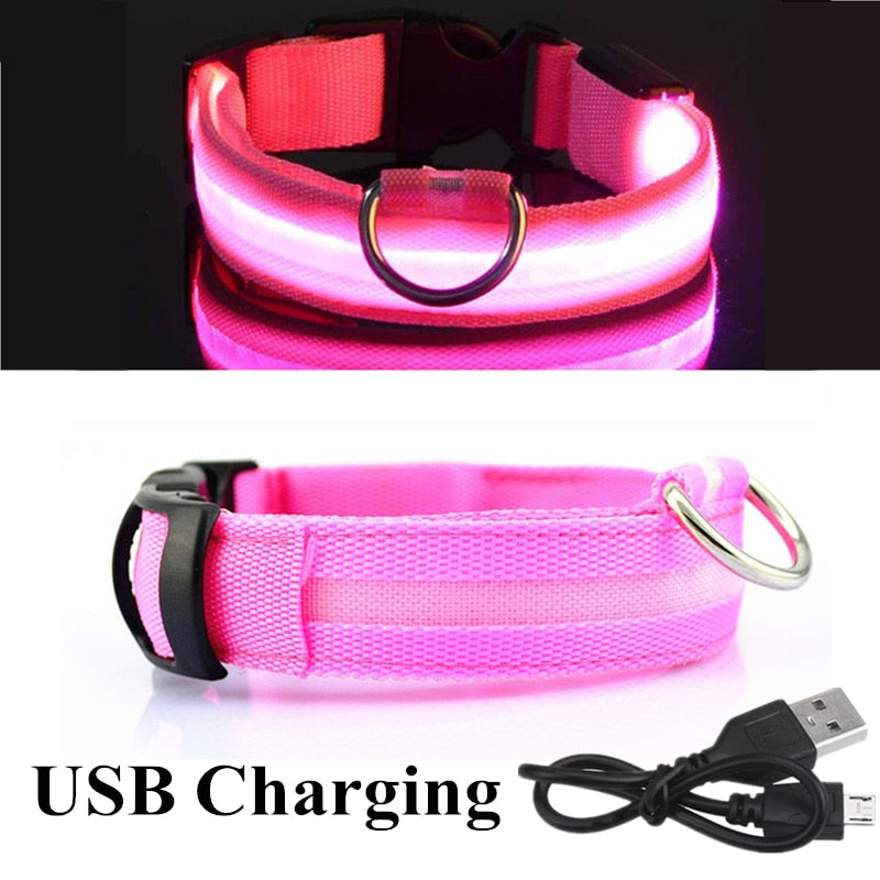 Lisslune | Adjustable LED collar