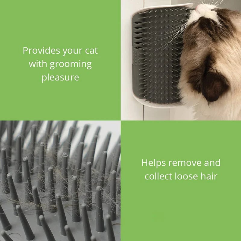 Lisslune | Wall Corner Massage Comb