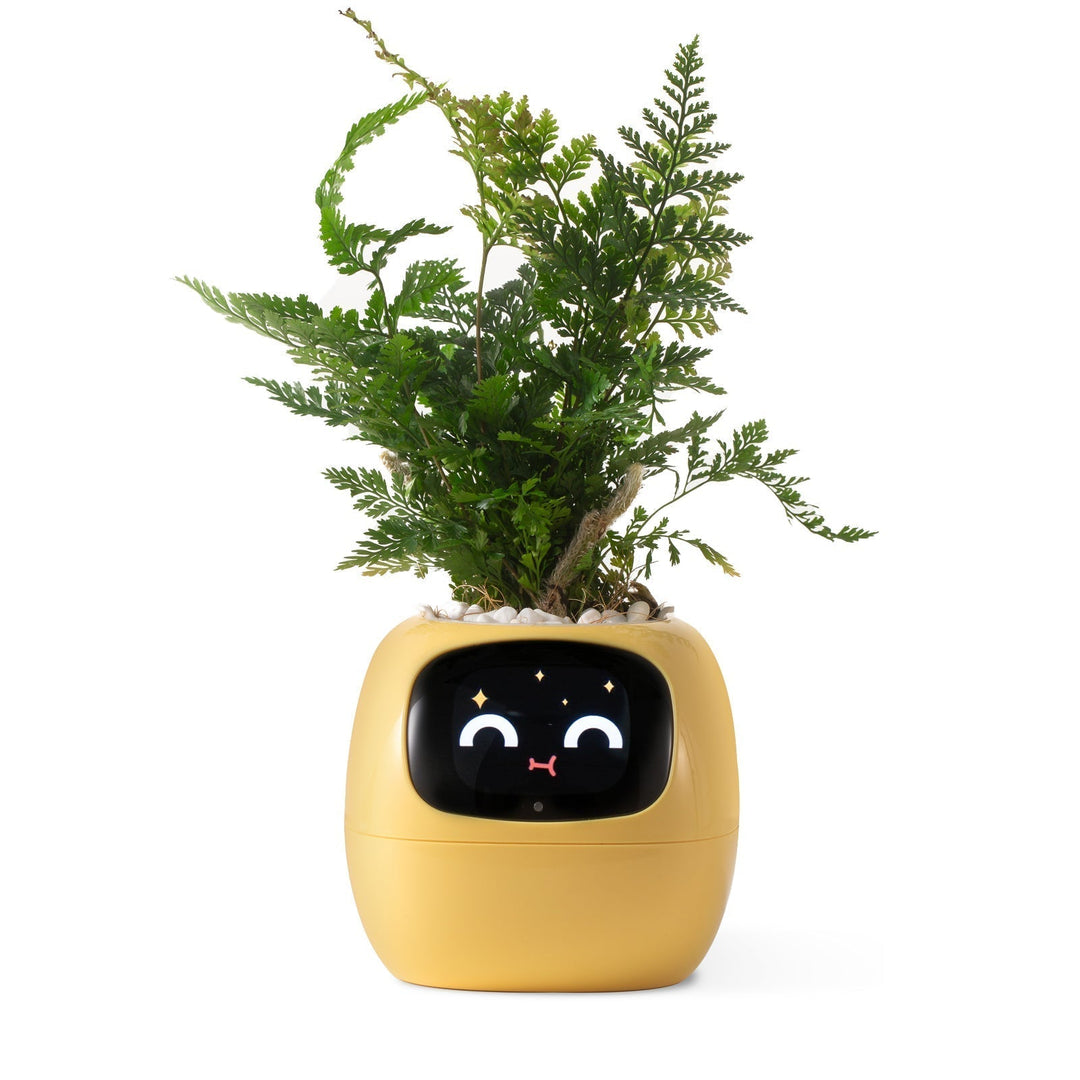 Lisslune | VerdeGlow – Self-Watering Smart Plant Pot | Automatic Irrigation | Modern Indoor Planter