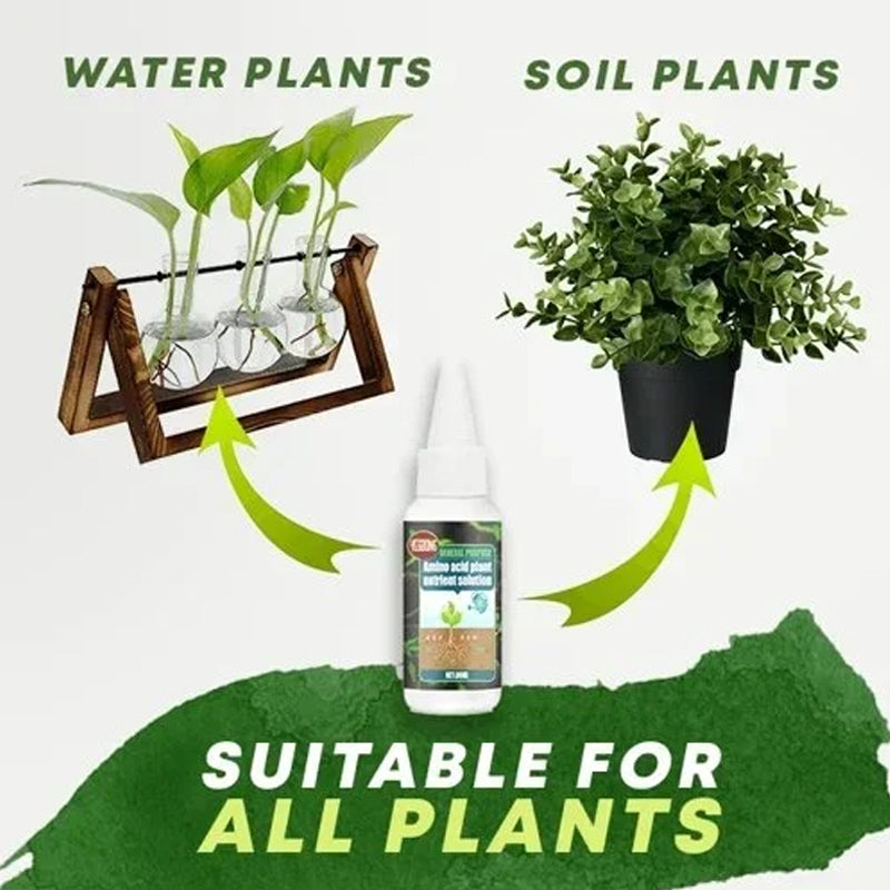 Lisslune | Plant Nutrient Solution