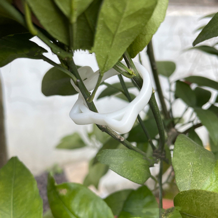 Lisslune | Cat-shaped Plant Clip – Cute Plant Support for Garden and House Plants