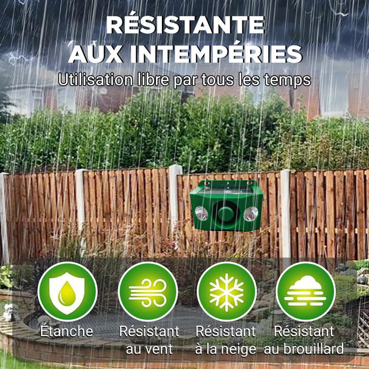 Lisslune | Solar-Warning Lamp Anti-Bête with High Volume