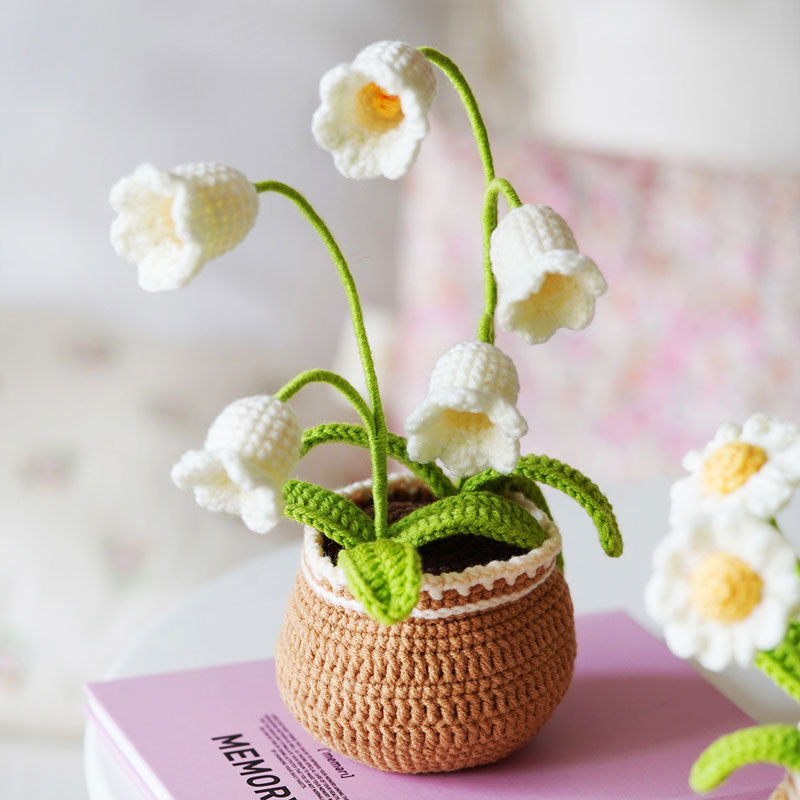 Lisslune | BloomCraft - Decorative flower pots for the elegance of your home