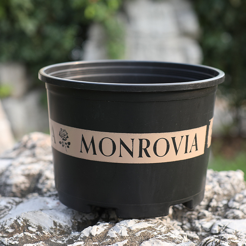 Lisslune | Robust Plant Pot Made of Plastic – Weatherproof Flower Pot for Garden and Balcony