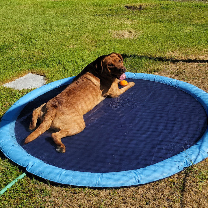 Lisslune | Folding Pet Bathing Pad