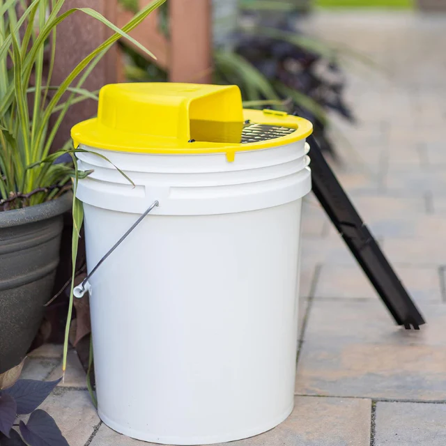 Lisslune | Reusable Humane Bucket Live Humane Mouse Trap