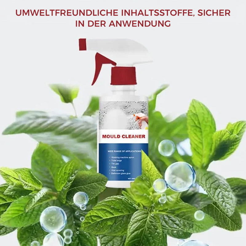 Lisslune | Anti-Mold Cleaning Foam