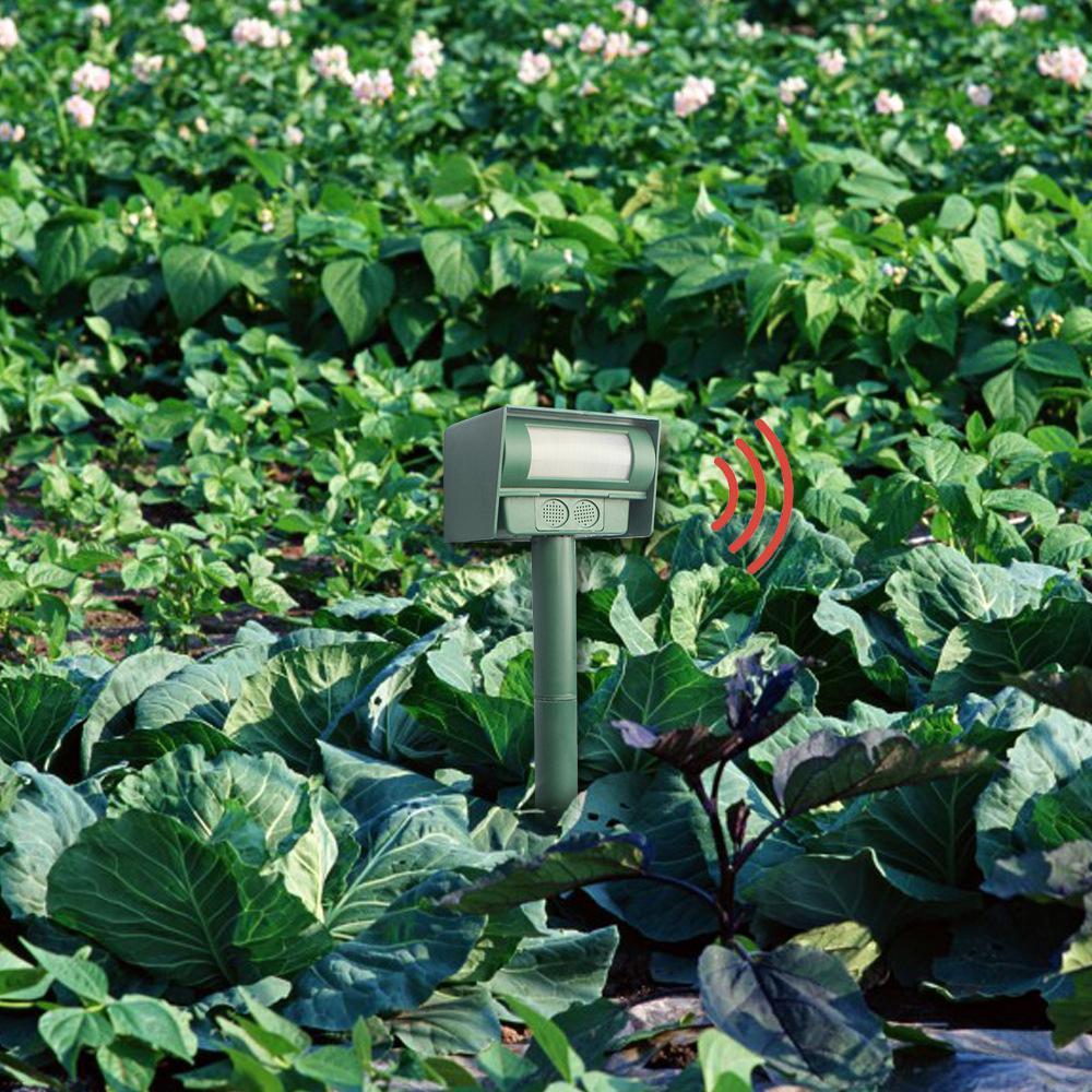 Lisslune | Solar-powered Ultrasonic Pest Mouse Repeller