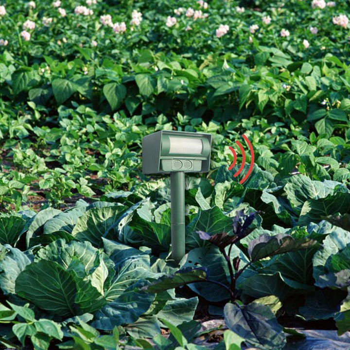 Lisslune | Solar-powered Ultrasonic Pest Mouse Repeller