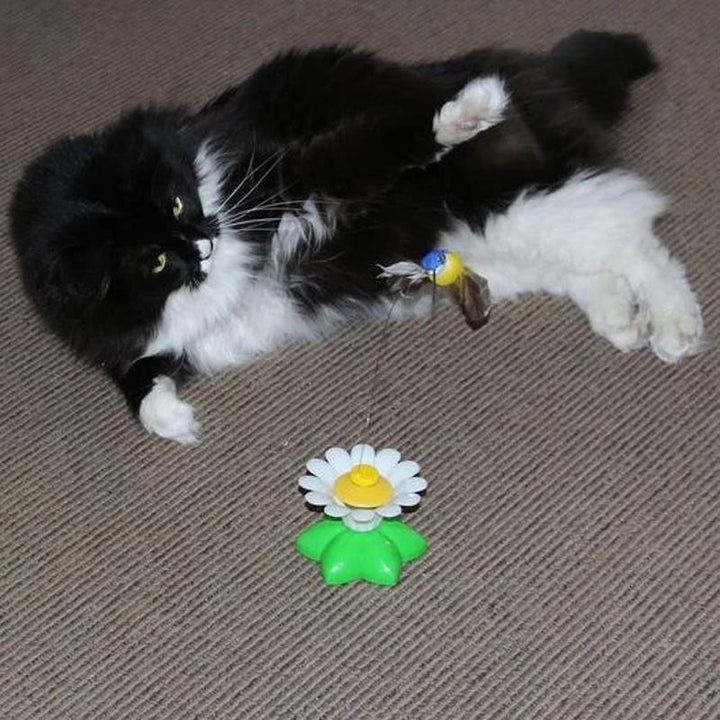 Lisslune | Interactive Bird Toy for Cats