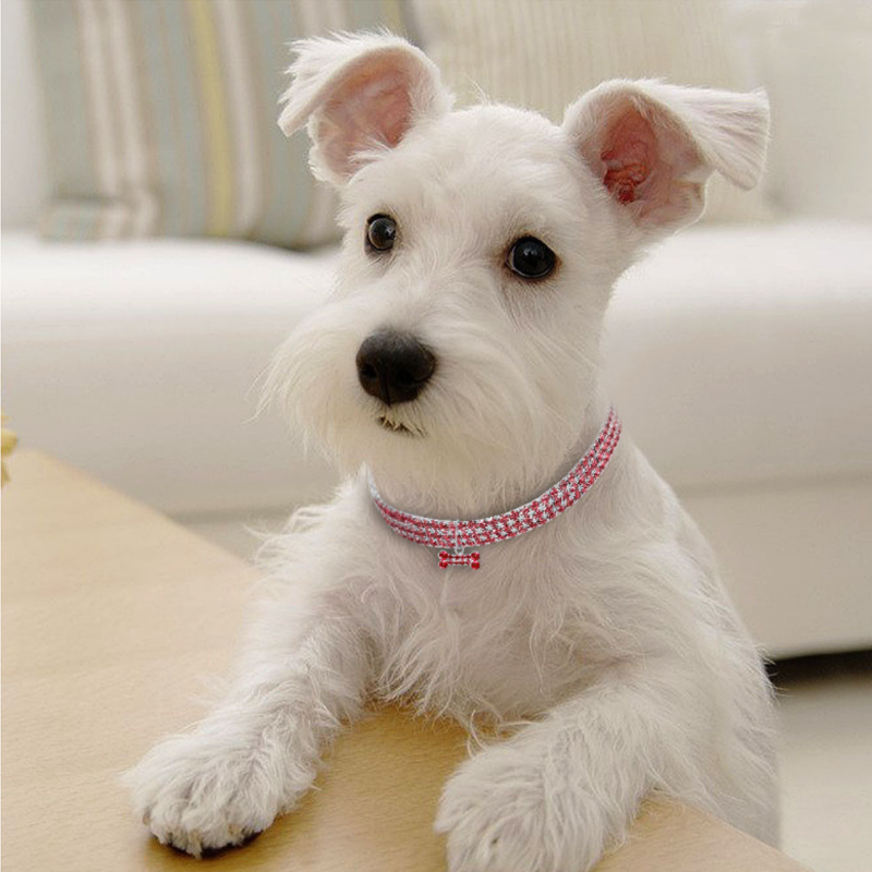Lisslune | Sweet Crystal Dog Collar