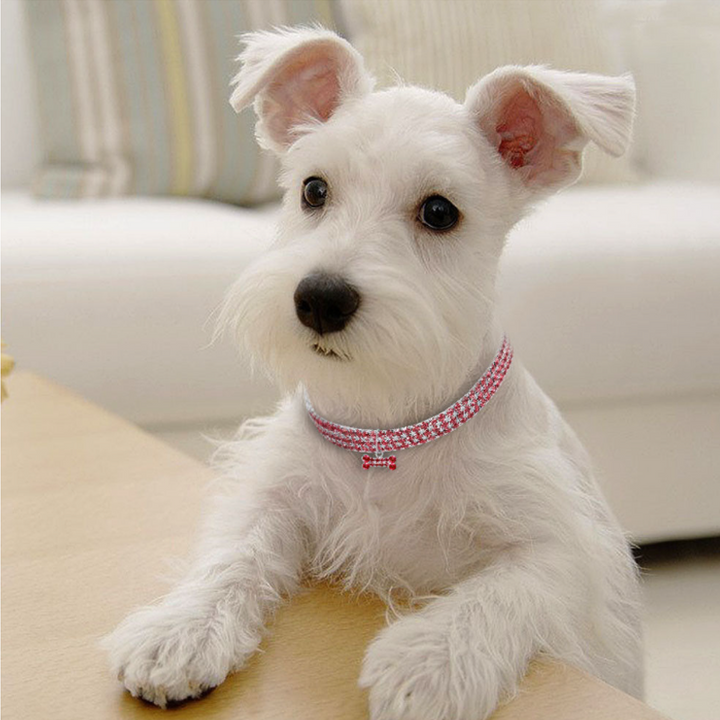 Lisslune | Sweet Crystal Dog Collar