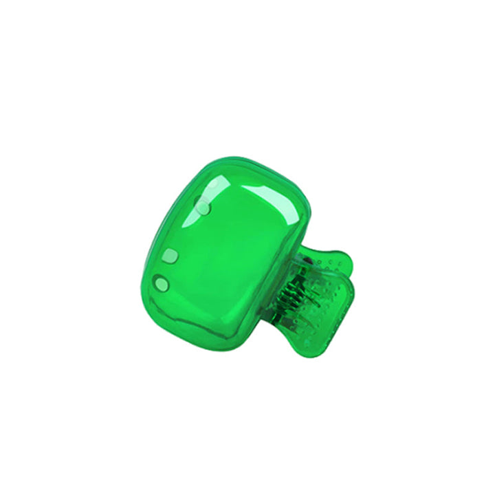 Lisslune | Portable Plastic Toothbrush Case